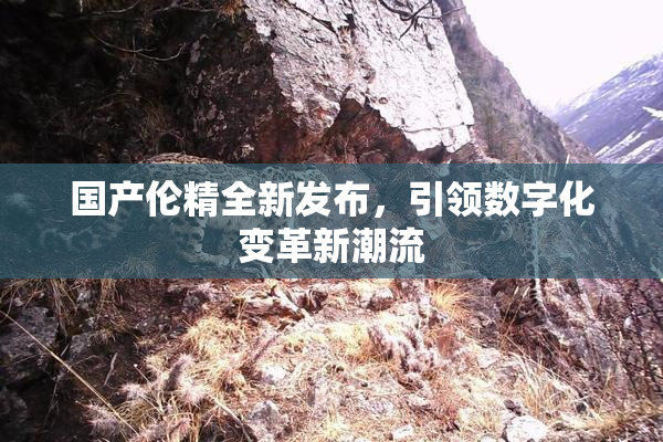 国产伦精全新发布，引领数字化变革新潮流