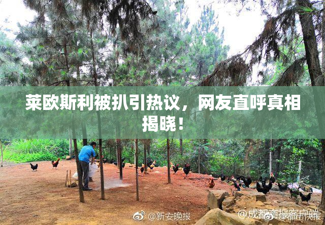 莱欧斯利被扒引热议，网友直呼真相揭晓！
