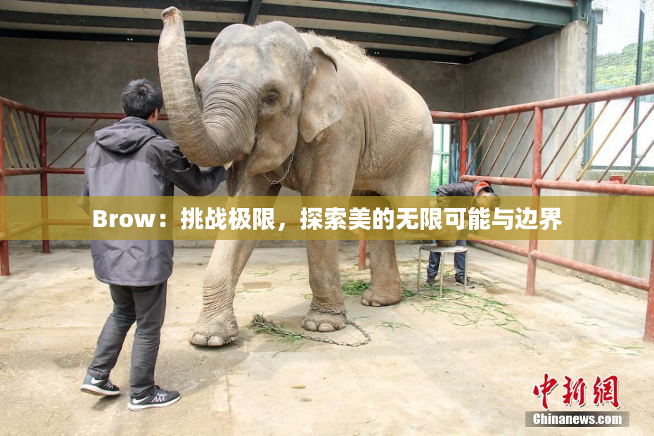 Brow：挑战极限，探索美的无限可能与边界