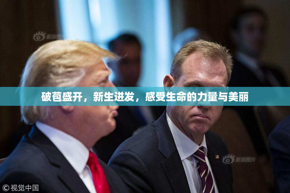 破苞盛开，新生迸发，感受生命的力量与美丽