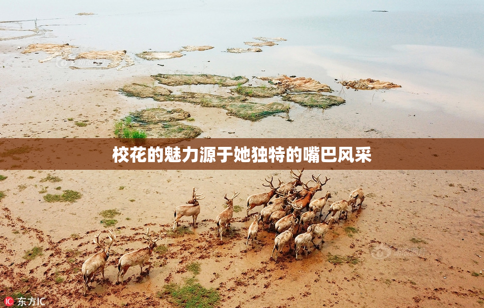 校花的魅力源于她独特的嘴巴风采