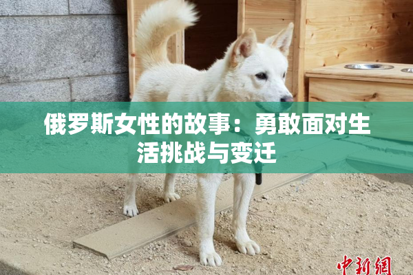 俄罗斯女性的故事：勇敢面对生活挑战与变迁