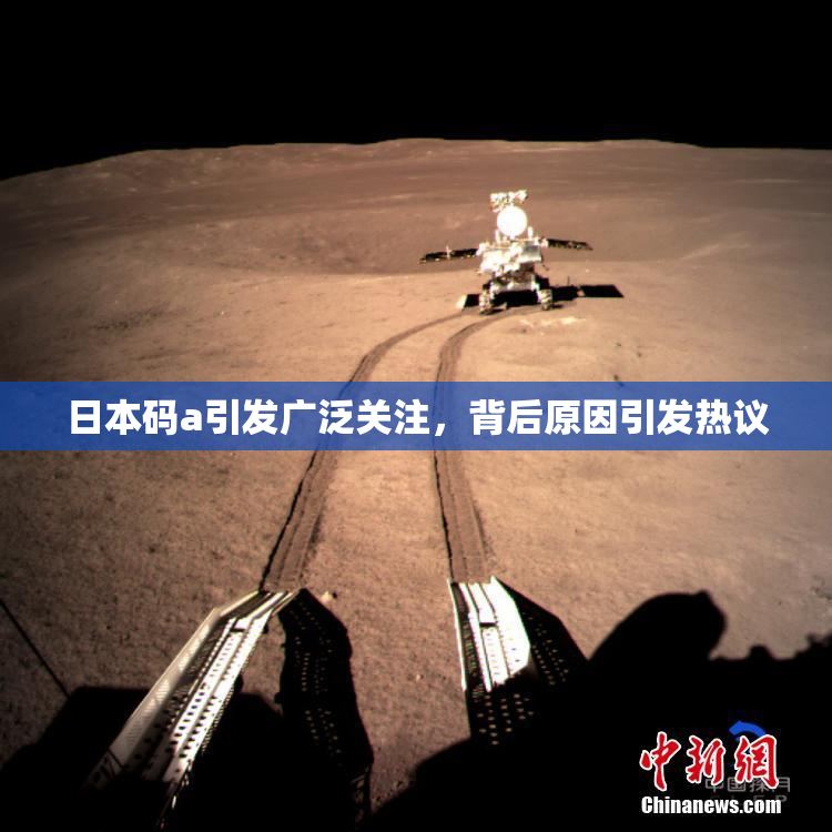 日本码a引发广泛关注，背后原因引发热议
