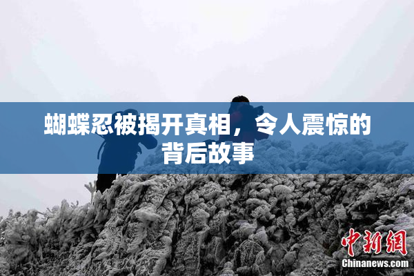 蝴蝶忍被揭开真相，令人震惊的背后故事