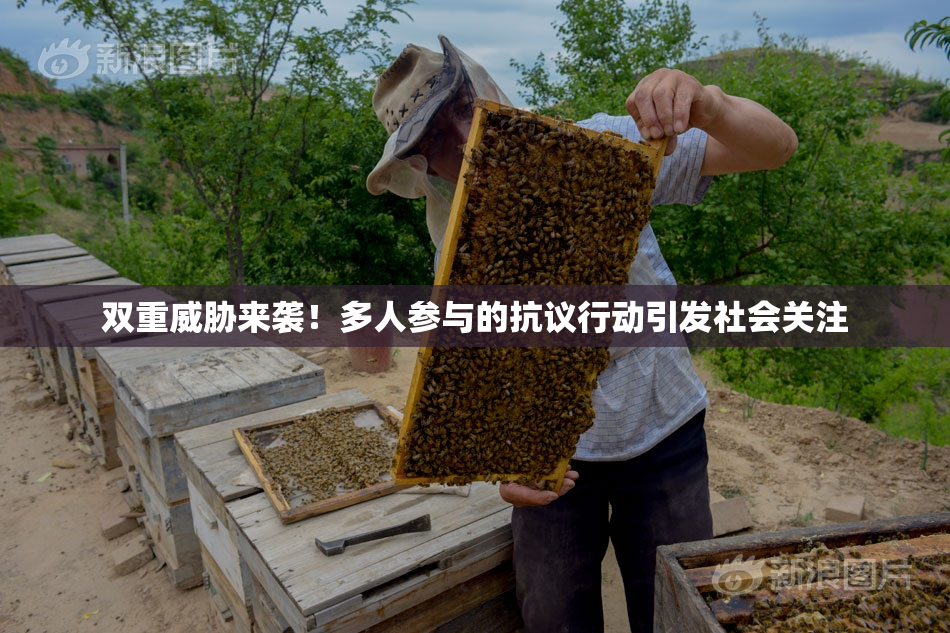 双重威胁来袭！多人参与的抗议行动引发社会关注