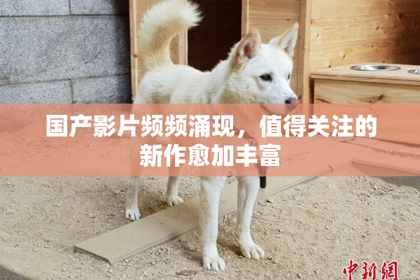 国产影片频频涌现，值得关注的新作愈加丰富