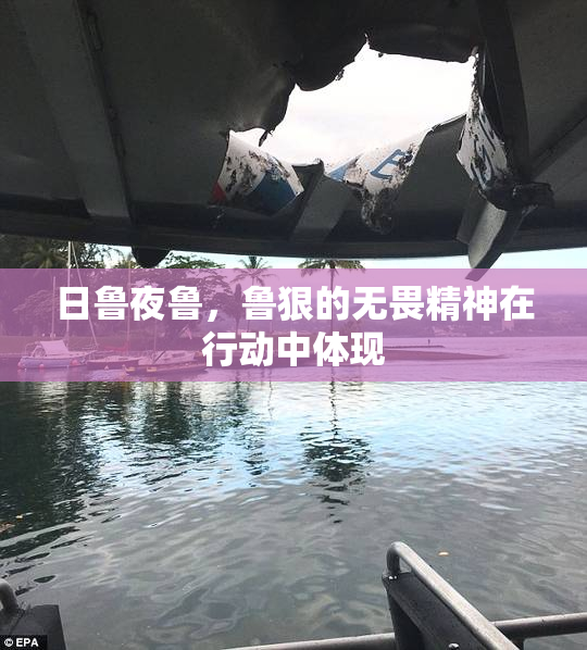 日鲁夜鲁，鲁狠的无畏精神在行动中体现