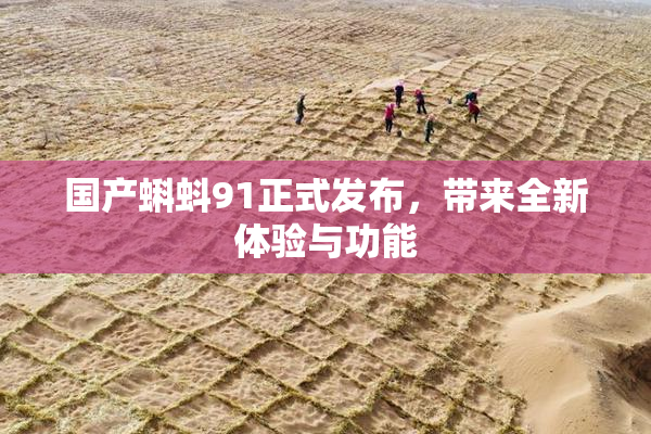 国产蝌蚪91正式发布，带来全新体验与功能