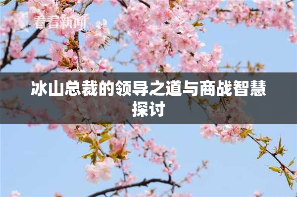 冰山总裁的领导之道与商战智慧探讨