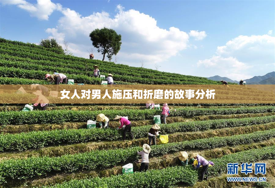 女人对男人施压和折磨的故事分析