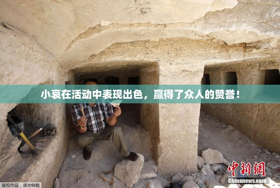 小哀在活动中表现出色，赢得了众人的赞誉！