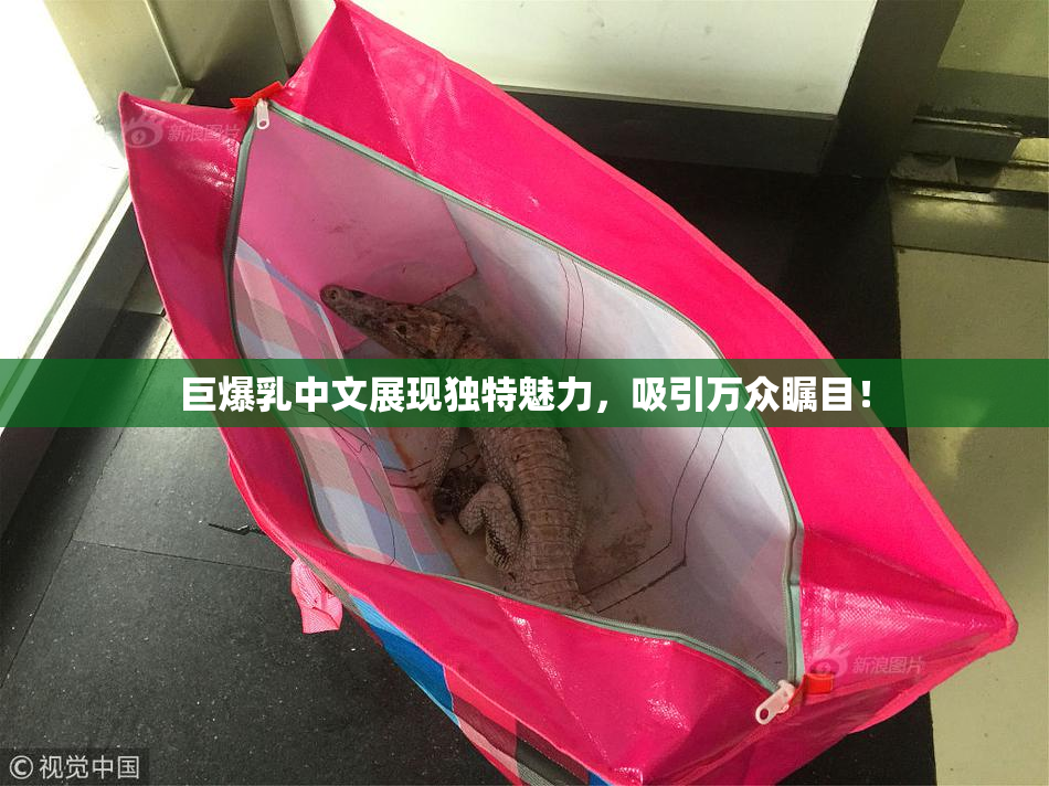 巨爆乳中文展现独特魅力，吸引万众瞩目！