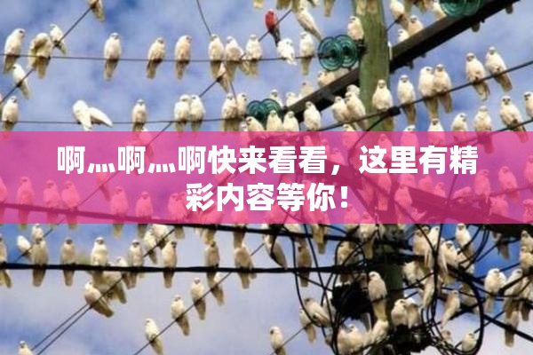 啊灬啊灬啊快来看看，这里有精彩内容等你！