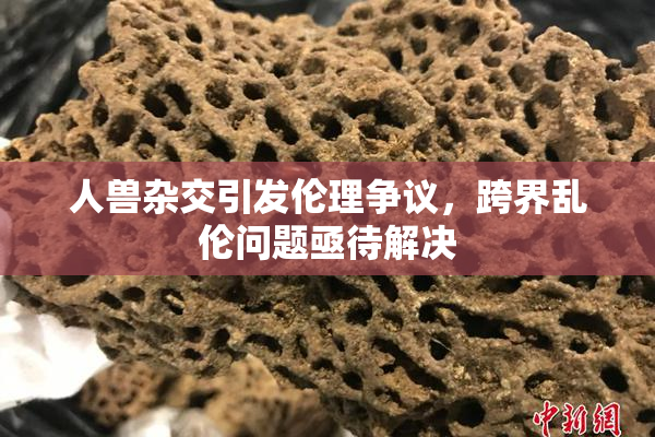 人兽杂交引发伦理争议，跨界乱伦问题亟待解决