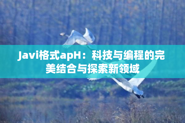 Javi格式apH：科技与编程的完美结合与探索新领域