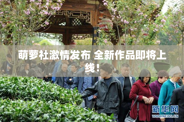 萌萝社激情发布 全新作品即将上线！