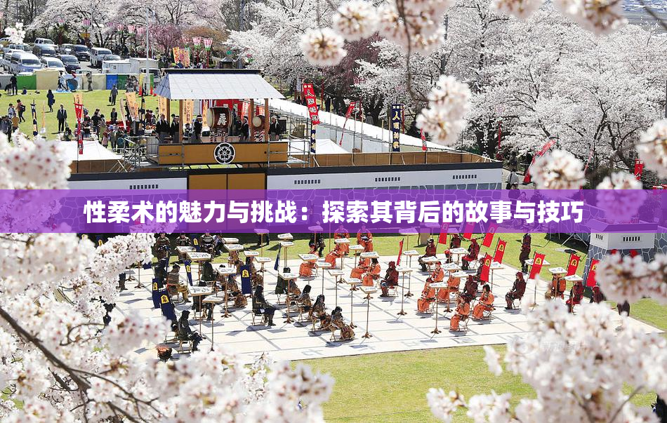 性柔术的魅力与挑战：探索其背后的故事与技巧