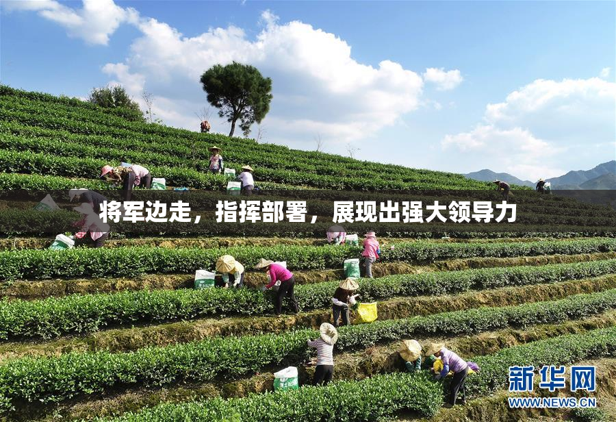 将军边走，指挥部署，展现出强大领导力