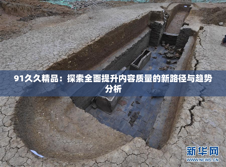 91久久精品：探索全面提升内容质量的新路径与趋势分析