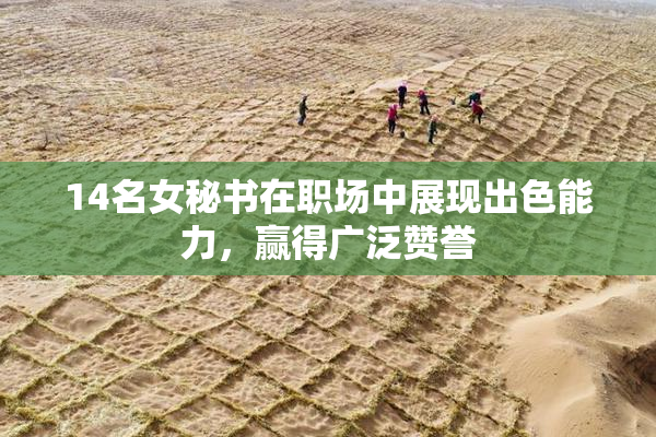 14名女秘书在职场中展现出色能力，赢得广泛赞誉