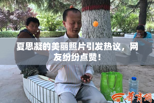 夏思凝的美丽照片引发热议，网友纷纷点赞！