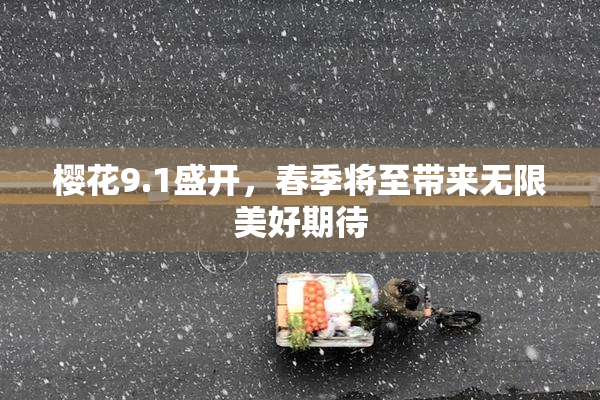 樱花9.1盛开，春季将至带来无限美好期待