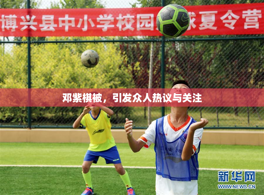 邓紫棋被，引发众人热议与关注