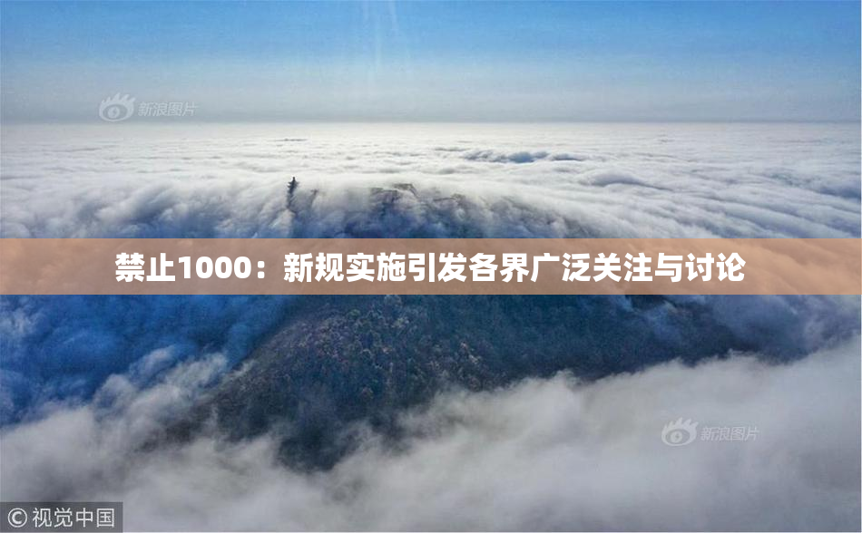 禁止1000：新规实施引发各界广泛关注与讨论