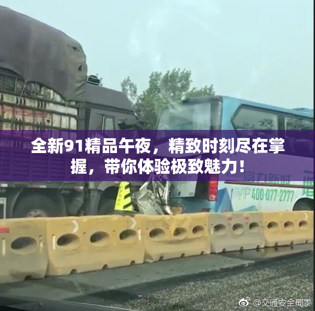 全新91精品午夜，精致时刻尽在掌握，带你体验极致魅力！
