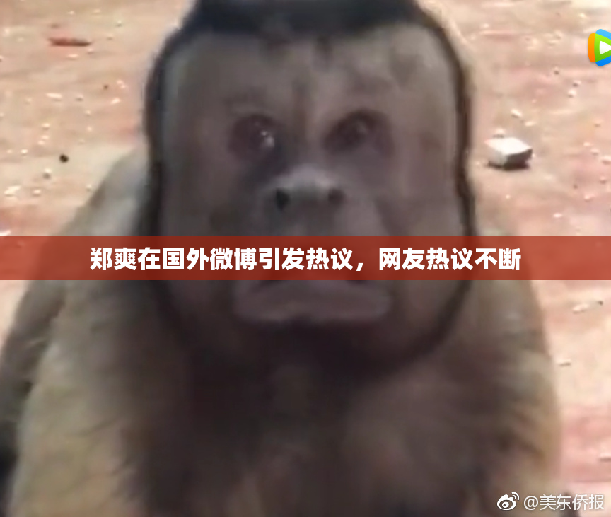 郑爽在国外微博引发热议，网友热议不断