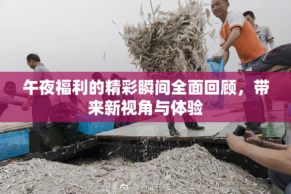 午夜福利的精彩瞬间全面回顾，带来新视角与体验