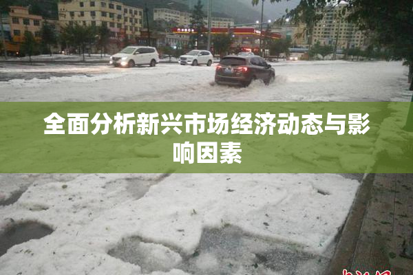 全面分析新兴市场经济动态与影响因素