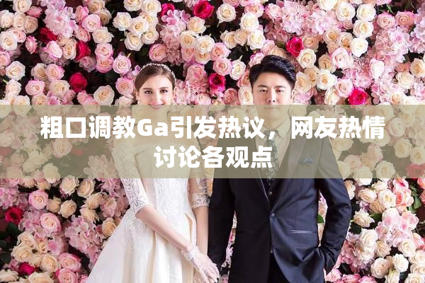 粗口调教Ga引发热议，网友热情讨论各观点