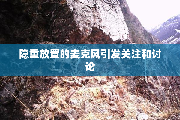 隐重放置的麦克风引发关注和讨论