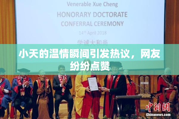 小天的温情瞬间引发热议，网友纷纷点赞