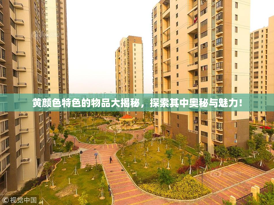 黄颜色特色的物品大揭秘，探索其中奥秘与魅力！