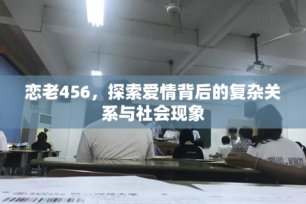 恋老456，探索爱情背后的复杂关系与社会现象