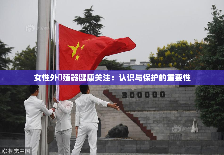 女性外夝殖器健康关注：认识与保护的重要性