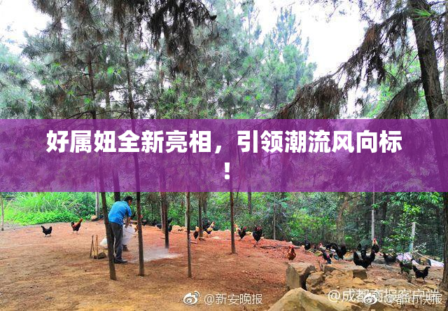 好属妞全新亮相，引领潮流风向标！