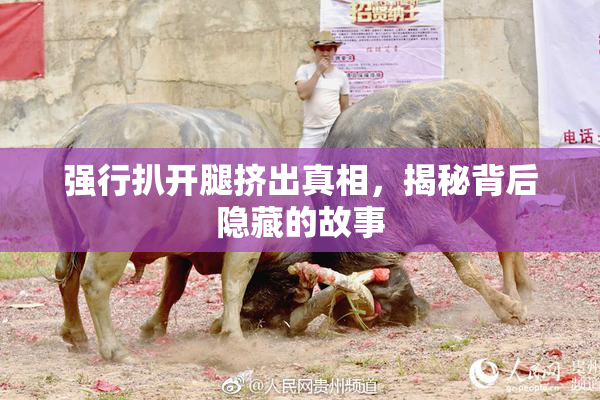 强行扒开腿挤出真相，揭秘背后隐藏的故事
