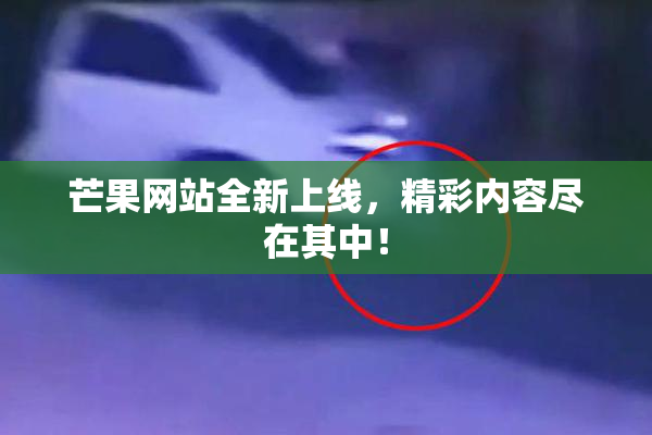 芒果网站全新上线，精彩内容尽在其中！