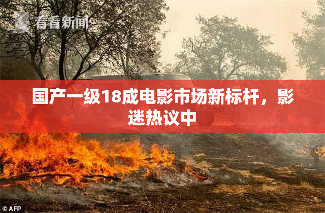 国产一级18成电影市场新标杆，影迷热议中