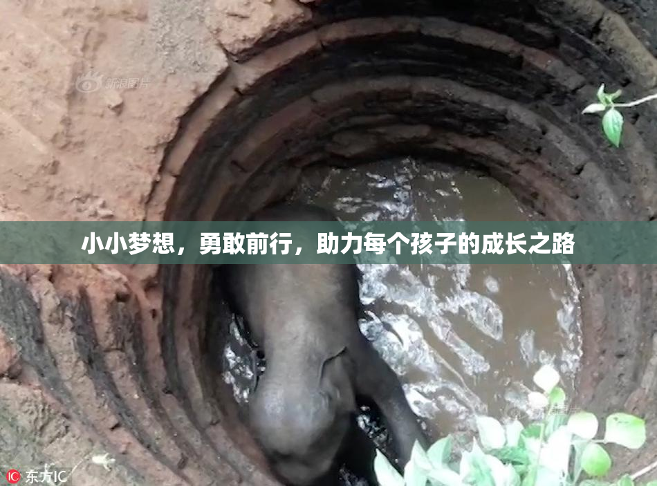 小小梦想，勇敢前行，助力每个孩子的成长之路