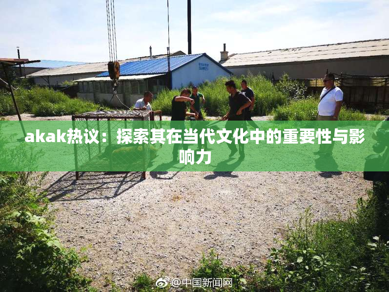 akak热议：探索其在当代文化中的重要性与影响力