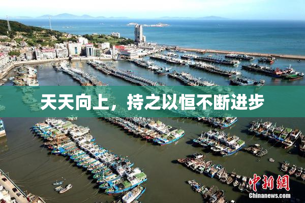 天天向上，持之以恒不断进步