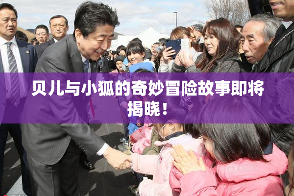 贝儿与小狐的奇妙冒险故事即将揭晓！