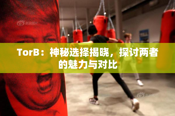TorB：神秘选择揭晓，探讨两者的魅力与对比