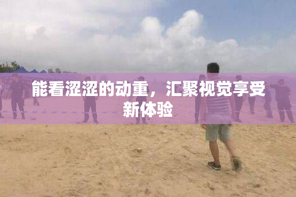 能看涩涩的动重，汇聚视觉享受新体验