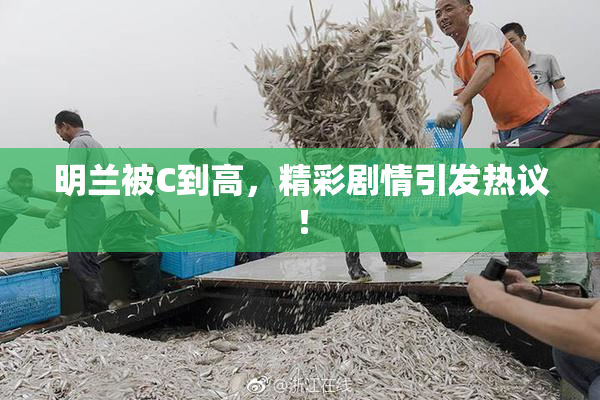 明兰被C到高，精彩剧情引发热议！