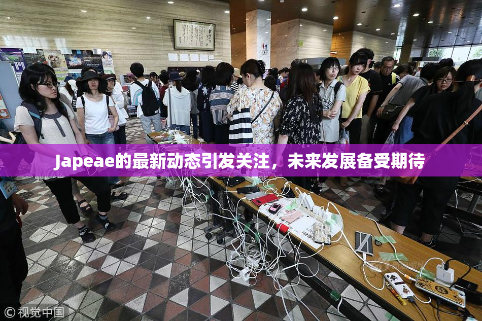 Japeae的最新动态引发关注，未来发展备受期待